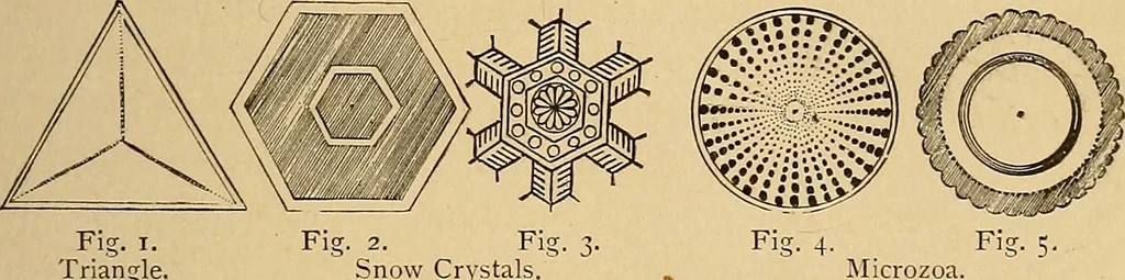 An illustration from The principles of light and color : including among other things the harmonic laws of the universe, the etherio-atomic philosophy of force, chromo chemistry, chromo therapeutics, and the general philosophy of the fine forces, together with numerous discoveries and practical applications. Illustrated by more than two hundred engravings and four colored plates, 1896, leaf 26