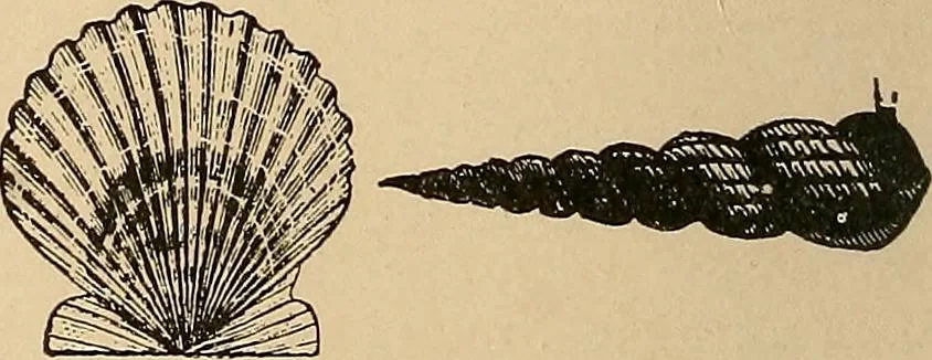 An illustration from The principles of light and color : including among other things the harmonic laws of the universe, the etherio-atomic philosophy of force, chromo chemistry, chromo therapeutics, and the general philosophy of the fine forces, together with numerous discoveries and practical applications. Illustrated by more than two hundred engravings and four colored plates, 1896, leaf 27