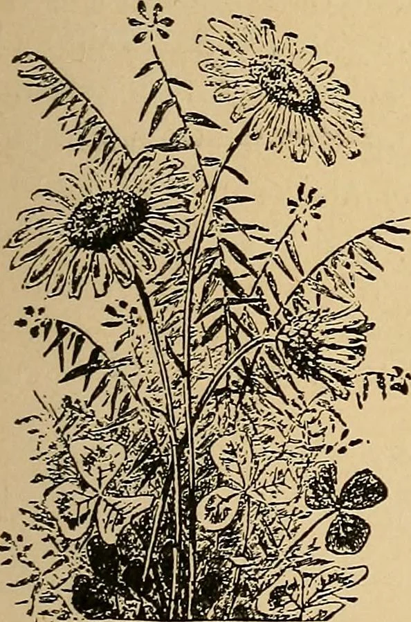An illustration from The principles of light and color : including among other things the harmonic laws of the universe, the etherio-atomic philosophy of force, chromo chemistry, chromo therapeutics, and the general philosophy of the fine forces, together with numerous discoveries and practical applications. Illustrated by more than two hundred engravings and four colored plates, 1896, leaf 28