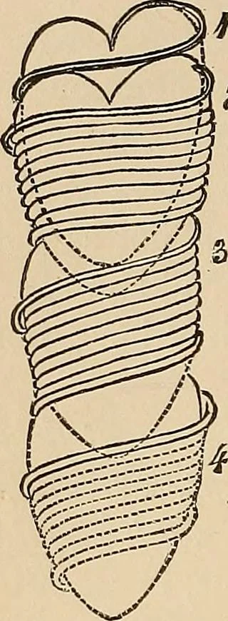 An illustration from The principles of light and color : including among other things the harmonic laws of the universe, the etherio-atomic philosophy of force, chromo chemistry, chromo therapeutics, and the general philosophy of the fine forces, together with numerous discoveries and practical applications. Illustrated by more than two hundred engravings and four colored plates, 1896, leaf 289