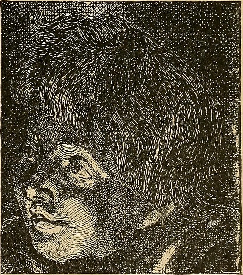 An illustration from The principles of light and color : including among other things the harmonic laws of the universe, the etherio-atomic philosophy of force, chromo chemistry, chromo therapeutics, and the general philosophy of the fine forces, together with numerous discoveries and practical applications. Illustrated by more than two hundred engravings and four colored plates, 1896, leaf 36