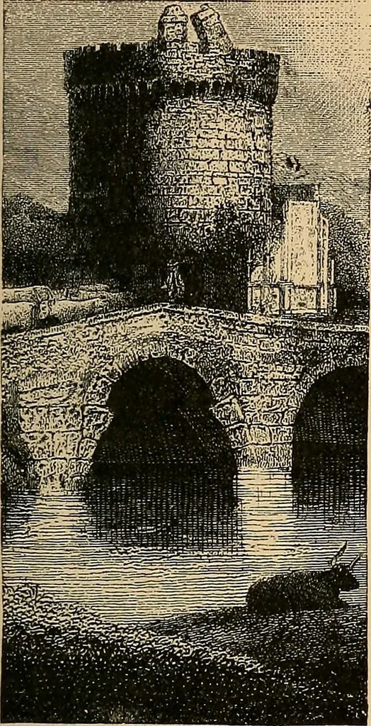 An illustration from The principles of light and color : including among other things the harmonic laws of the universe, the etherio-atomic philosophy of force, chromo chemistry, chromo therapeutics, and the general philosophy of the fine forces, together with numerous discoveries and practical applications. Illustrated by more than two hundred engravings and four colored plates, 1896, leaf 38