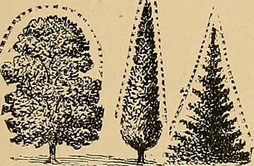An illustration from The principles of light and color : including among other things the harmonic laws of the universe, the etherio-atomic philosophy of force, chromo chemistry, chromo therapeutics, and the general philosophy of the fine forces, together with numerous discoveries and practical applications. Illustrated by more than two hundred engravings and four colored plates, 1896, leaf 40