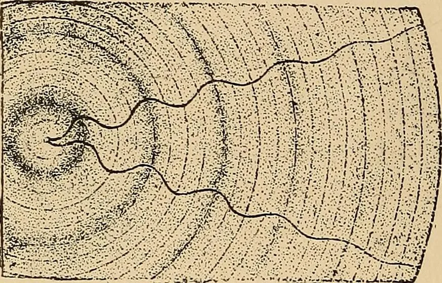 An illustration from The principles of light and color : including among other things the harmonic laws of the universe, the etherio-atomic philosophy of force, chromo chemistry, chromo therapeutics, and the general philosophy of the fine forces, together with numerous discoveries and practical applications. Illustrated by more than two hundred engravings and four colored plates, 1896, leaf 41