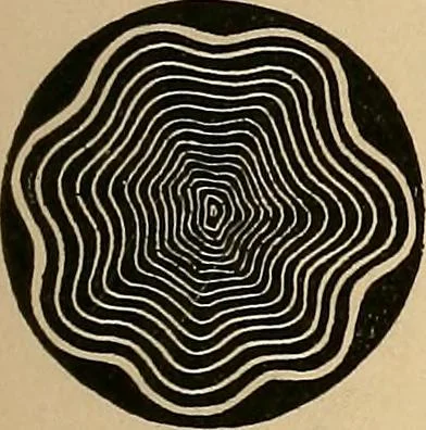 An illustration from The principles of light and color : including among other things the harmonic laws of the universe, the etherio-atomic philosophy of force, chromo chemistry, chromo therapeutics, and the general philosophy of the fine forces, together with numerous discoveries and practical applications. Illustrated by more than two hundred engravings and four colored plates, 1896, leaf 42