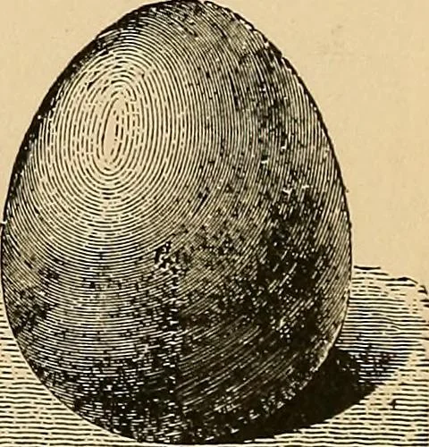 An illustration from The principles of light and color : including among other things the harmonic laws of the universe, the etherio-atomic philosophy of force, chromo chemistry, chromo therapeutics, and the general philosophy of the fine forces, together with numerous discoveries and practical applications. Illustrated by more than two hundred engravings and four colored plates, 1896, leaf 42