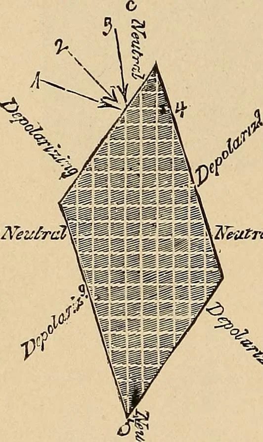 An illustration from The principles of light and color : including among other things the harmonic laws of the universe, the etherio-atomic philosophy of force, chromo chemistry, chromo therapeutics, and the general philosophy of the fine forces, together with numerous discoveries and practical applications. Illustrated by more than two hundred engravings and four colored plates, 1896, leaf 431