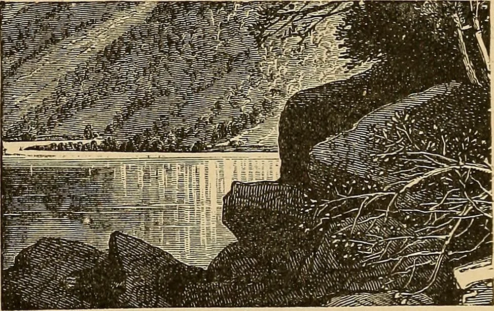 An illustration from The principles of light and color : including among other things the harmonic laws of the universe, the etherio-atomic philosophy of force, chromo chemistry, chromo therapeutics, and the general philosophy of the fine forces, together with numerous discoveries and practical applications. Illustrated by more than two hundred engravings and four colored plates, 1896, leaf 48