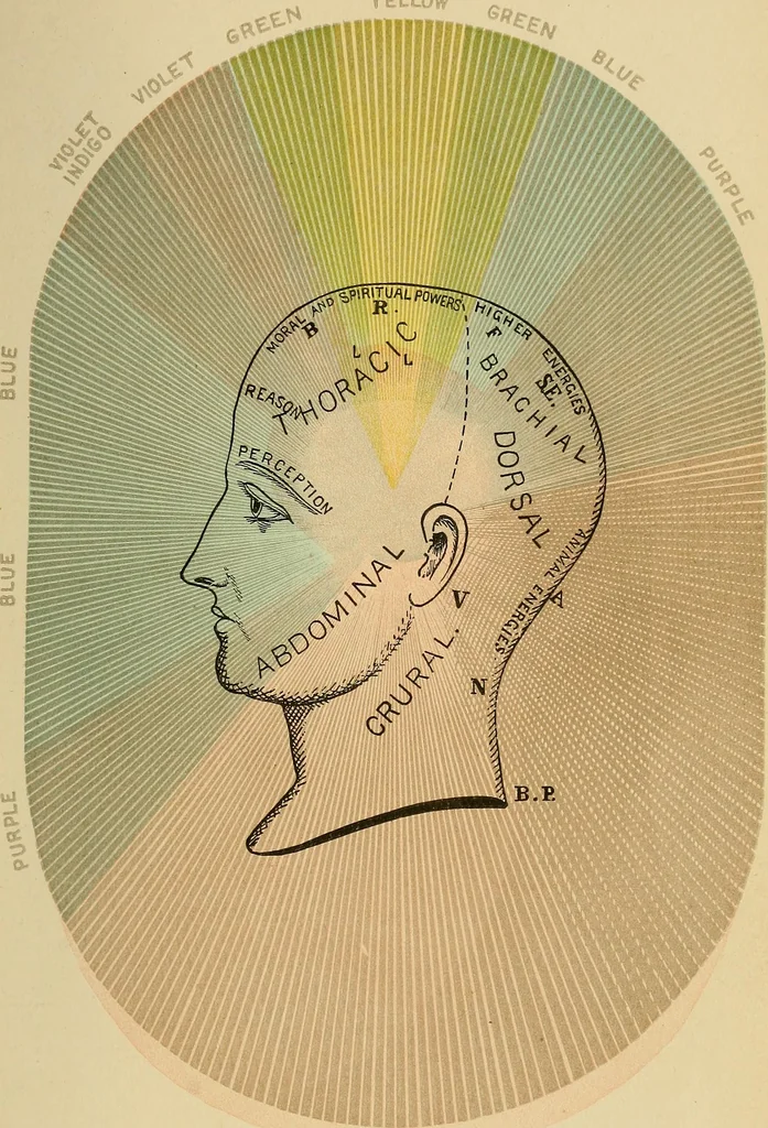 An illustration from The principles of light and color : including among other things the harmonic laws of the universe, the etherio-atomic philosophy of force, chromo chemistry, chromo therapeutics, and the general philosophy of the fine forces, together with numerous discoveries and practical applications. Illustrated by more than two hundred engravings and four colored plates, 1896, leaf 502