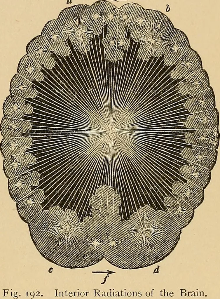 An illustration from The principles of light and color : including among other things the harmonic laws of the universe, the etherio-atomic philosophy of force, chromo chemistry, chromo therapeutics, and the general philosophy of the fine forces, together with numerous discoveries and practical applications. Illustrated by more than two hundred engravings and four colored plates, 1896, leaf 522