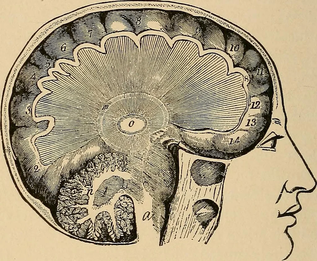 An illustration from The principles of light and color : including among other things the harmonic laws of the universe, the etherio-atomic philosophy of force, chromo chemistry, chromo therapeutics, and the general philosophy of the fine forces, together with numerous discoveries and practical applications. Illustrated by more than two hundred engravings and four colored plates, 1896, leaf 531