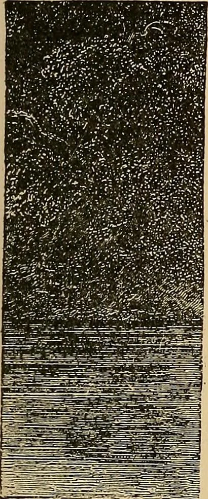 An illustration from The principles of light and color : including among other things the harmonic laws of the universe, the etherio-atomic philosophy of force, chromo chemistry, chromo therapeutics, and the general philosophy of the fine forces, together with numerous discoveries and practical applications. Illustrated by more than two hundred engravings and four colored plates, 1896, leaf 54