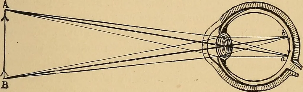 An illustration from The principles of light and color : including among other things the harmonic laws of the universe, the etherio-atomic philosophy of force, chromo chemistry, chromo therapeutics, and the general philosophy of the fine forces, together with numerous discoveries and practical applications. Illustrated by more than two hundred engravings and four colored plates, 1896, leaf 570