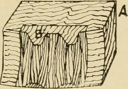 An illustration from The principles of pattern making, written specially for apprentices and students in technical schools, 1900, leaf 108
