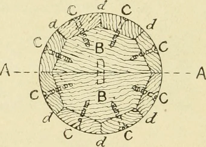 An illustration from The principles of pattern making, written specially for apprentices and students in technical schools, 1900, leaf 51
