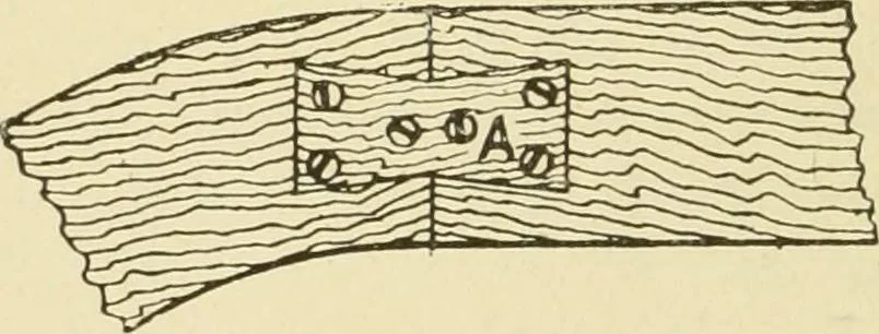 An illustration from The principles of pattern making, written specially for apprentices and students in technical schools, 1900, leaf 61