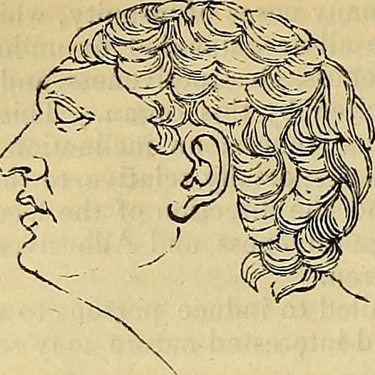 An illustration from The principles of phrenology, 1838, leaf 101