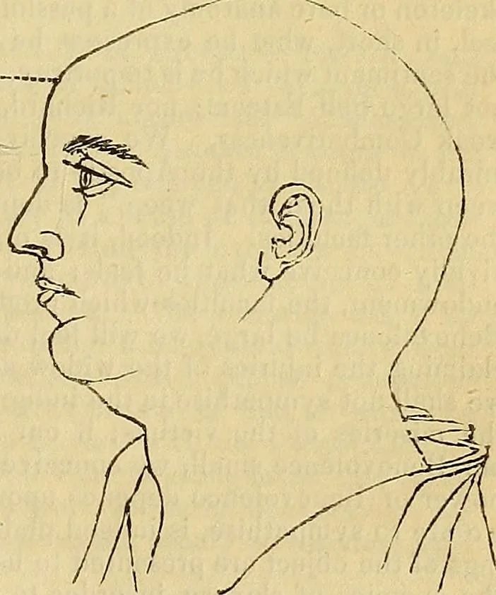 An illustration from The principles of phrenology, 1838, leaf 160