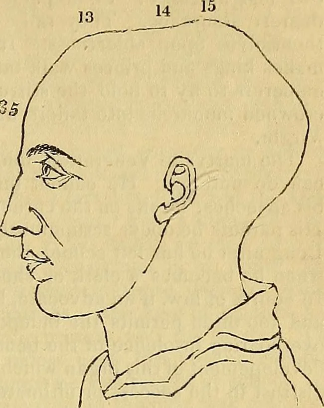 An illustration from The principles of phrenology, 1838, leaf 164