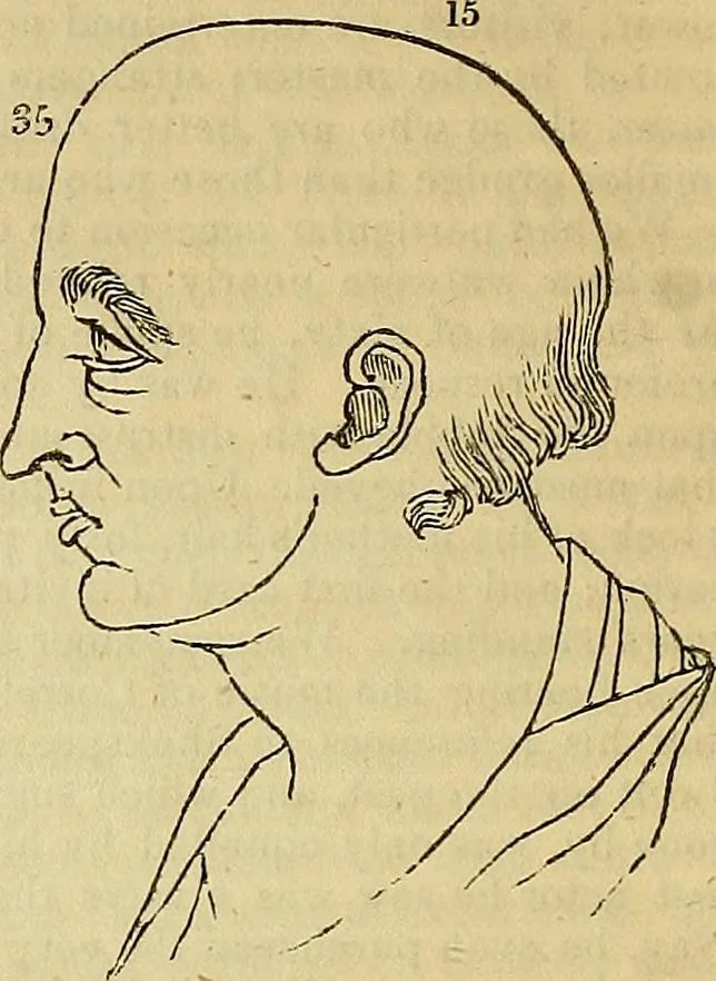 An illustration from The principles of phrenology, 1838, leaf 167