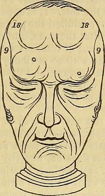 An illustration from The principles of phrenology, 1838, leaf 180