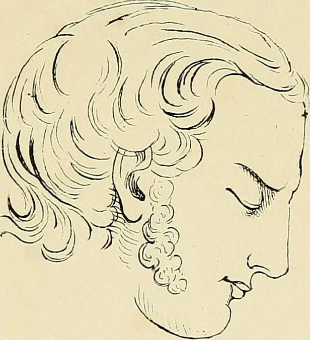 An illustration from The principles of phrenology, 1838, leaf 239