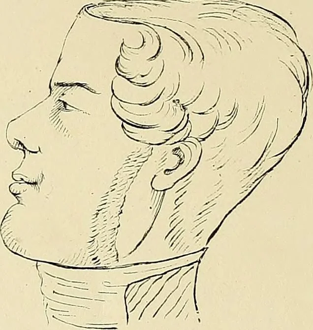 An illustration from The principles of phrenology, 1838, leaf 239
