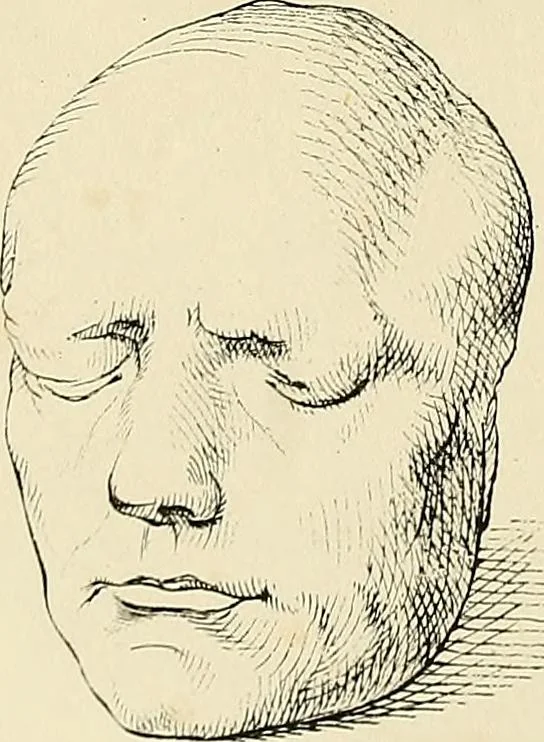 An illustration from The principles of phrenology, 1838, leaf 239