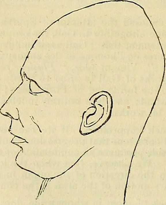 An illustration from The principles of phrenology, 1838, leaf 73