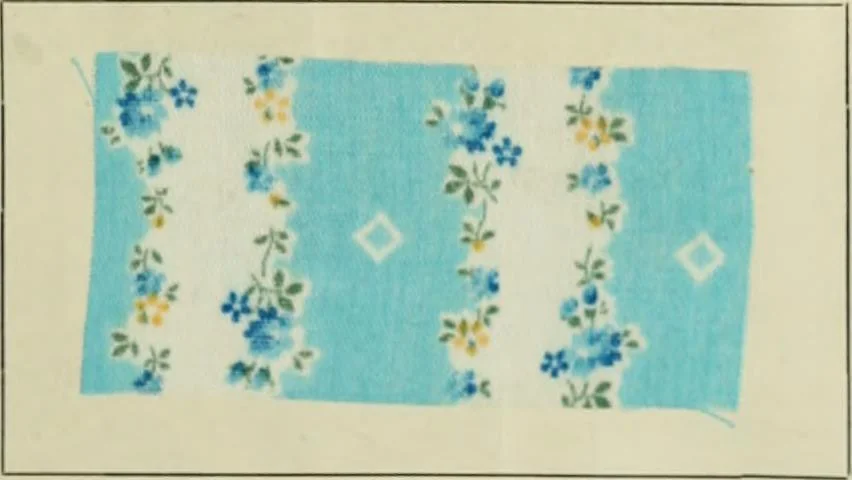 An illustration from The principles and practice of textile printing, 1912, leaf 304