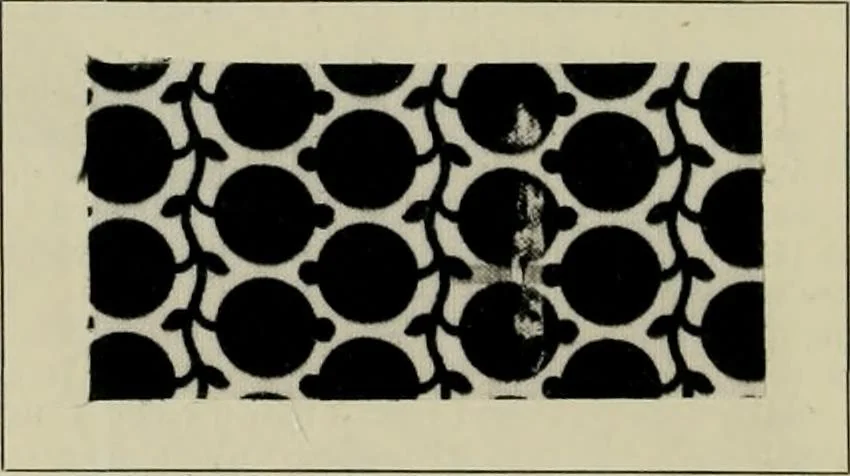 An illustration from The principles and practice of textile printing, 1912, leaf 315