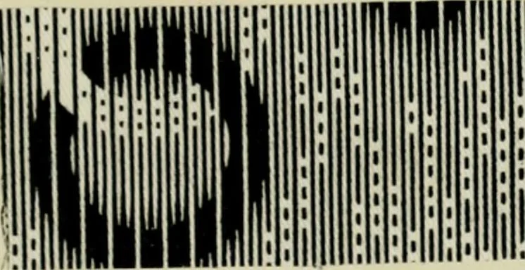An illustration from The principles and practice of textile printing, 1912, leaf 336