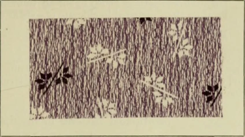 An illustration from The principles and practice of textile printing, 1912, leaf 384