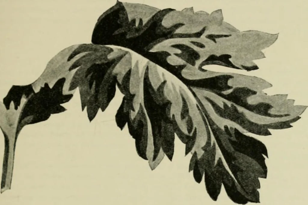 An illustration from The principles and practice of textile printing, 1912, leaf 40