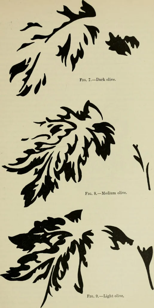 An illustration from The principles and practice of textile printing, 1912, leaf 44