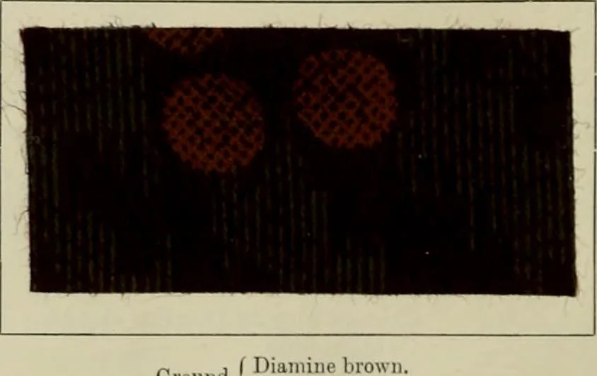 An illustration from The principles and practice of textile printing, 1912, leaf 491
