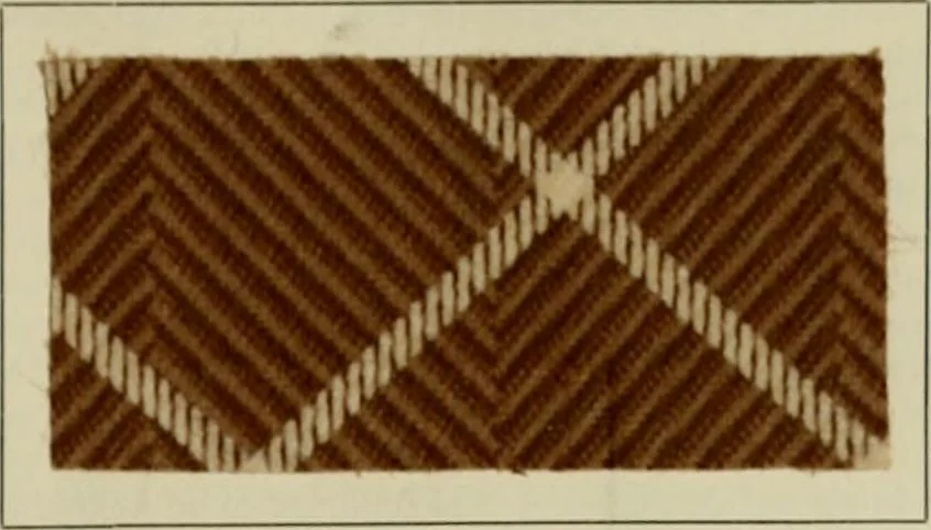 An illustration from The principles and practice of textile printing, 1912, leaf 492