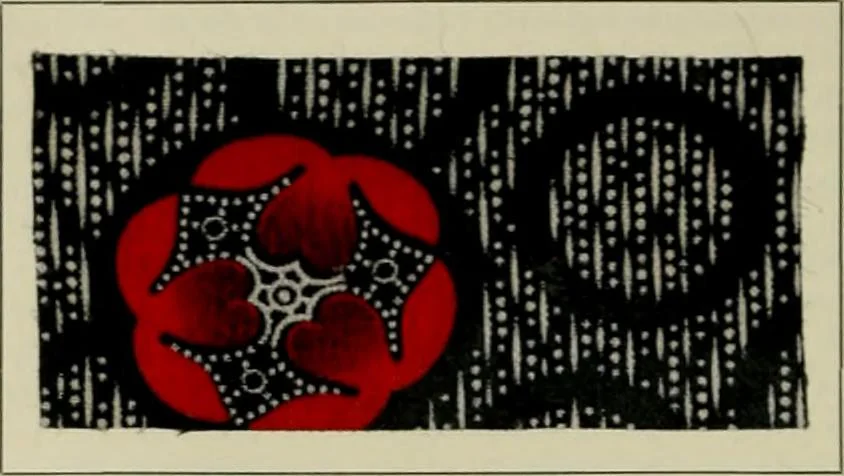 An illustration from The principles and practice of textile printing, 1912, leaf 569