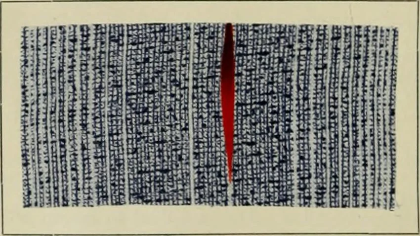 An illustration from The principles and practice of textile printing, 1912, leaf 571