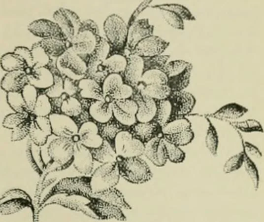 An illustration from The principles and practice of textile printing, 1912, leaf 90