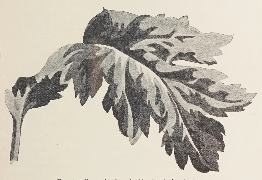 An illustration from The principles and practice of textile printing, 1912, leaf 43