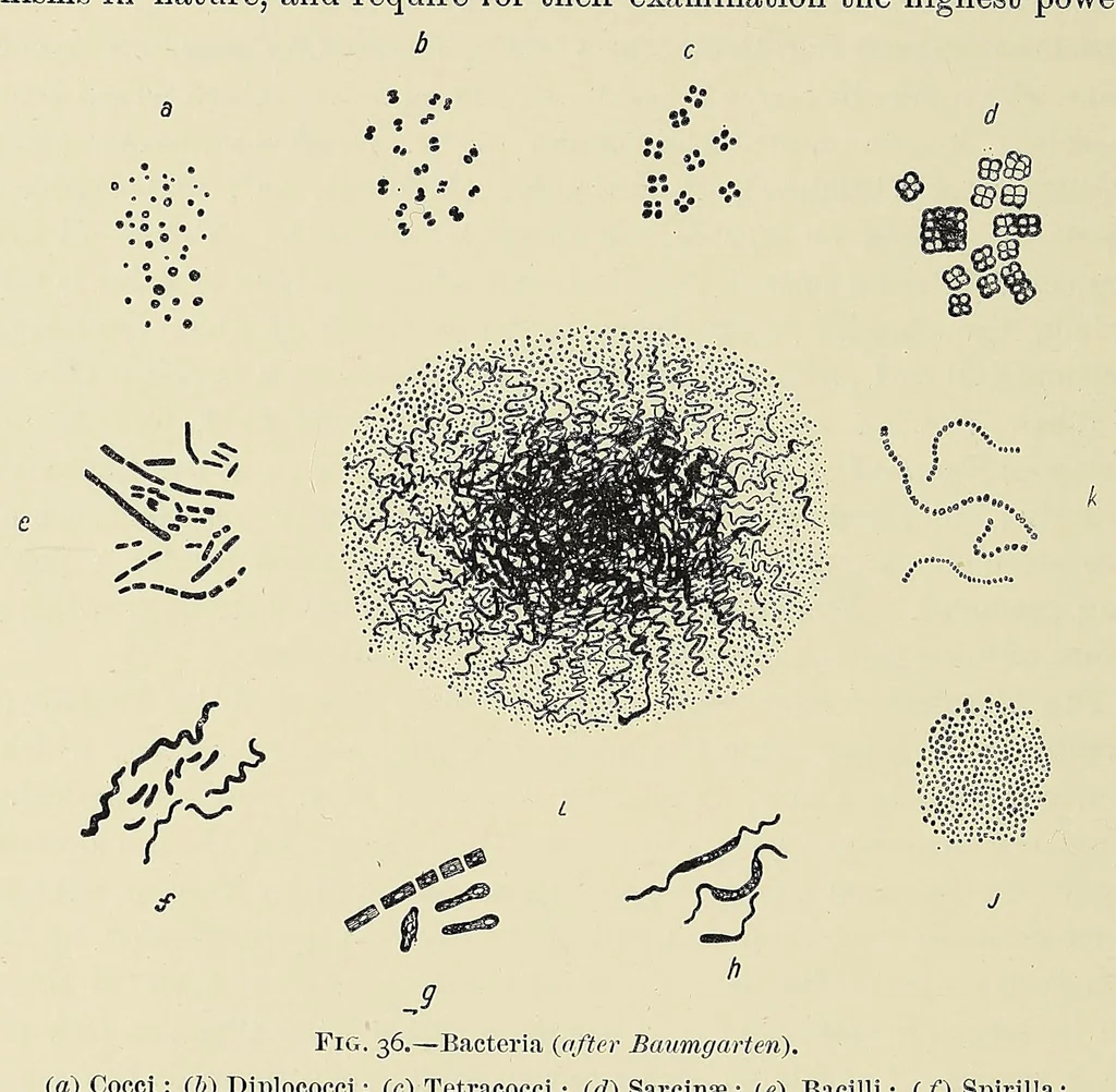 An illustration from The principles and practice of brewing, 1907, leaf 290