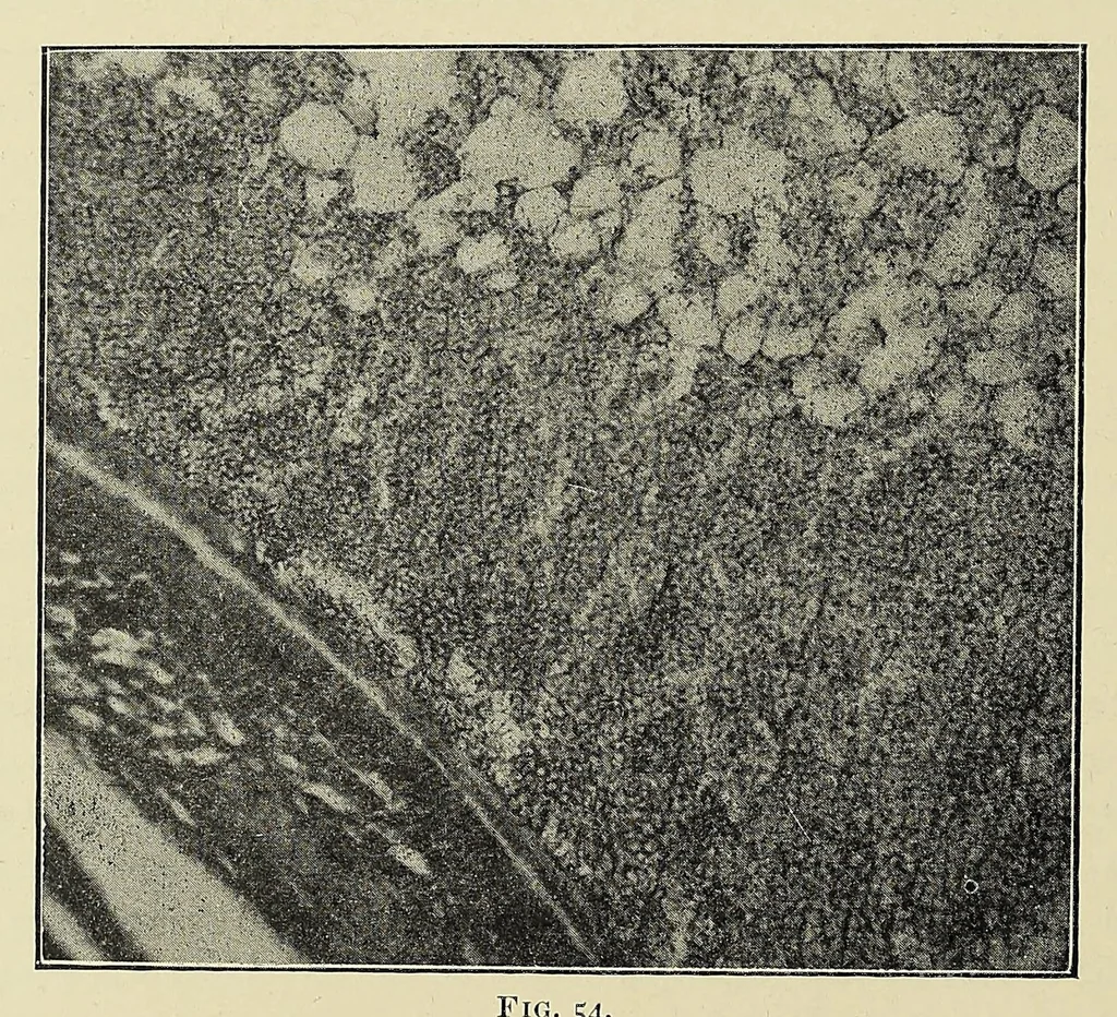 An illustration from The principles and practice of brewing, 1907, leaf 324