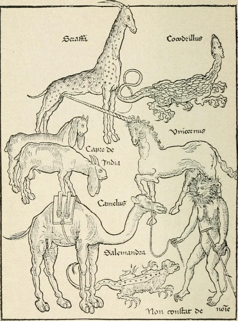 An illustration from The printed book, 1916, leaf 113