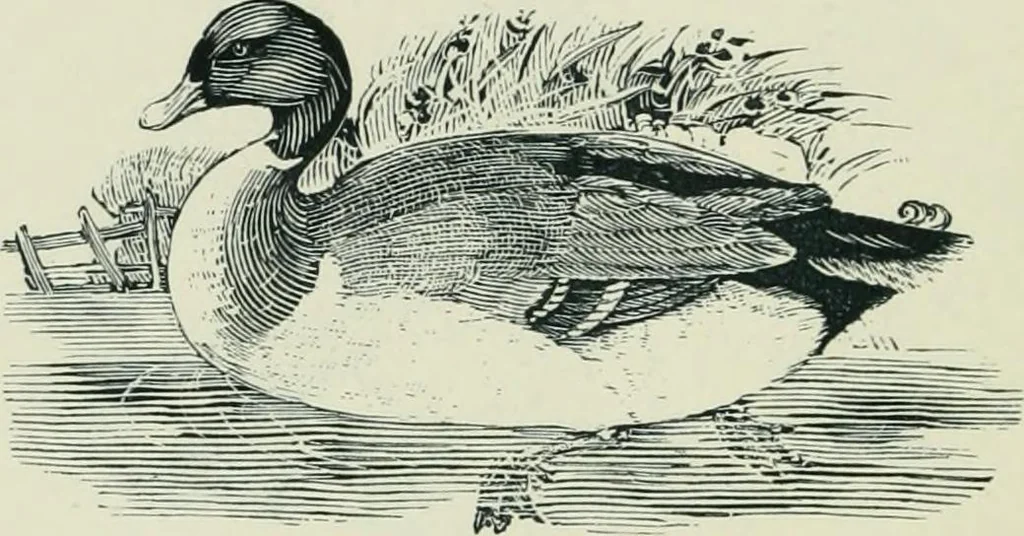 An illustration from The printed book, its history, illustration, and adornment, from the days of Gutenberg to the present time, 1887, leaf 247