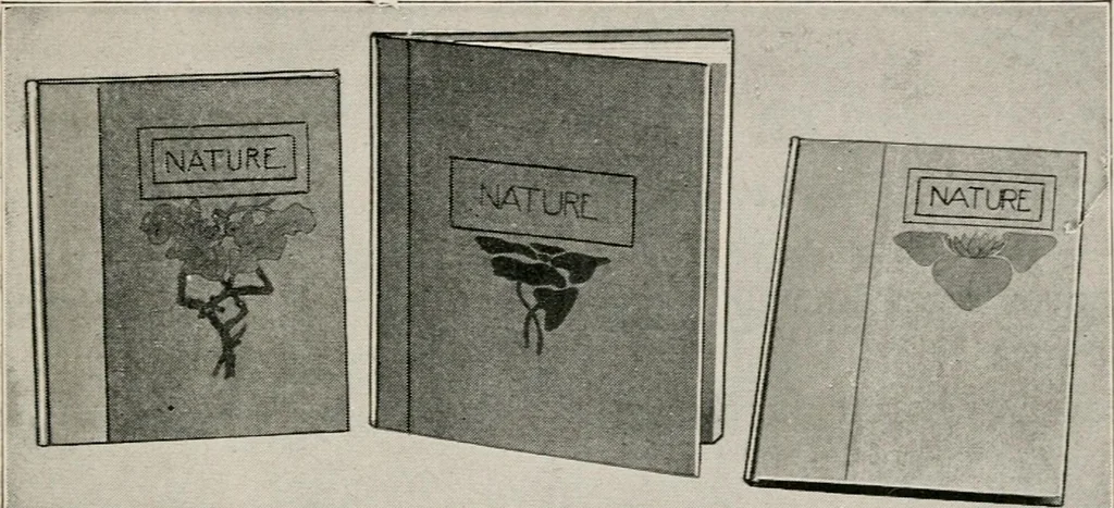 An illustration from Printing and bookbinding for schools, 1914, leaf 140