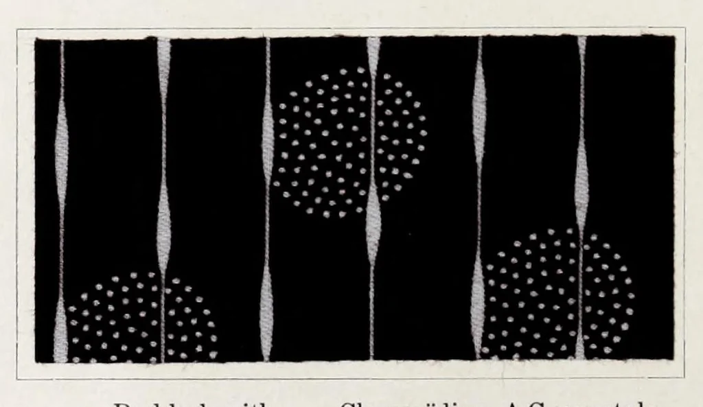 An illustration from The printing of cotton fabrics with the dyestuffs of Leopold Cassella & Co. G.M.B.H. Frankfort o. M, 1905, leaf 164