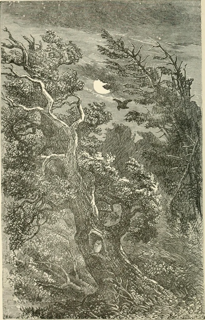 An illustration from Printing; a practical treatise on the art of typography as applied more particularly to the printing of books;, 1890, leaf 211