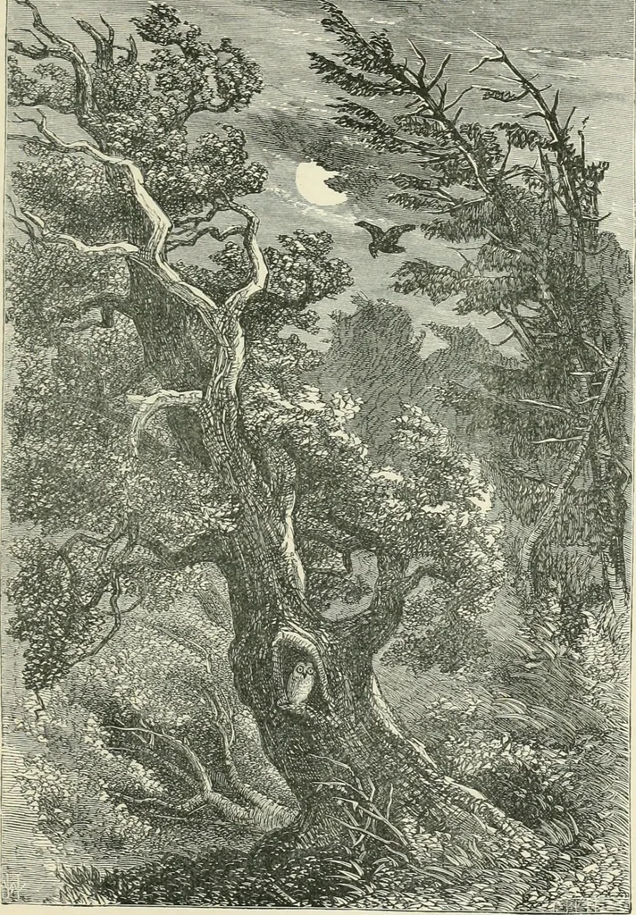 An illustration from Printing; a practical treatise on the art of typography as applied more particularly to the printing of books;, 1890, leaf 212