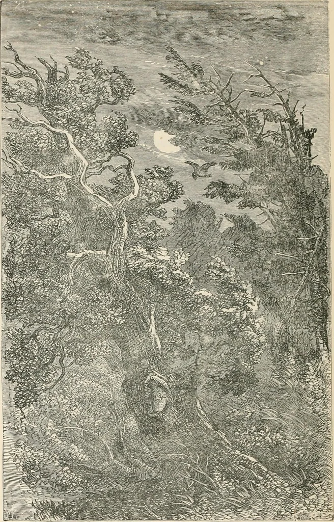 An illustration from Printing : a practical treatise on the art of typography as applied more particularly to the printing of books, 1904, leaf 271